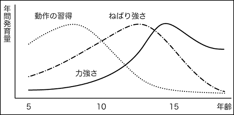 体力の分類