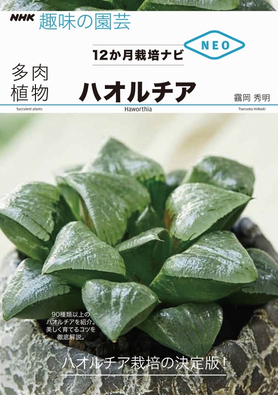 NHK趣味の園芸 12か月栽培ナビNEO 多肉植物 ハオルチア