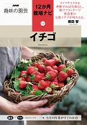 NHK趣味の園芸 12か月栽培ナビ⑬イチゴ