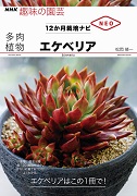 NHK趣味の園芸 12か月栽培ナビNEO 多肉植物 エケベリア