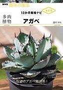 NHK趣味の園芸 12か月栽培ナビNEO 多肉植物 アガベ