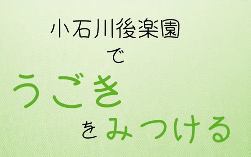 コンドルズ
