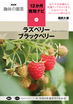 NHK趣味の園芸　12か月栽培ナビ ⑱ラズベリー　ブラックベリー