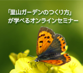 オンラインセミナー<br>「庭やベランダに蝶や鳥を呼ぼう！ ～里山ガーデンのつくり方～」