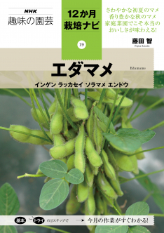 NHK趣味の園芸　12か月栽培ナビ ⑲エダマメ　インゲン　ラッカセイ　ソラマメ　エンドウ
