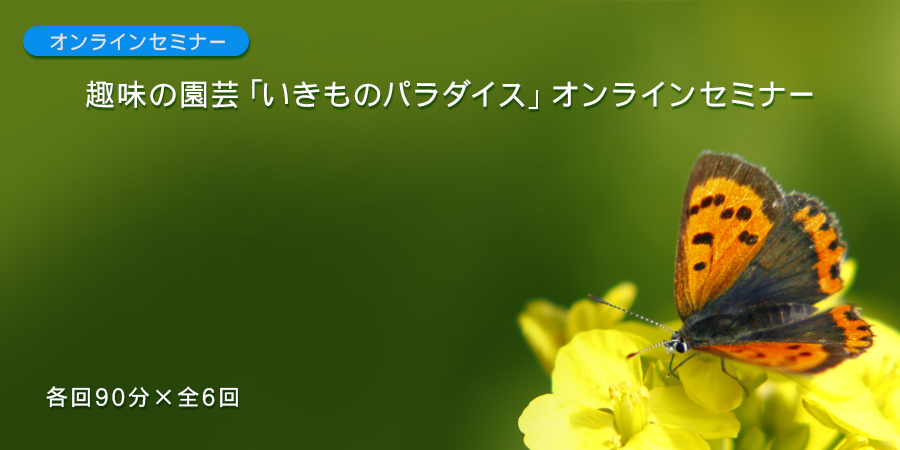 趣味の園芸 いきものパラダイス オンラインセミナー 教育コンテンツならnhkエデュケーショナル