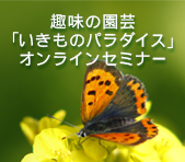 趣味の園芸「いきものパラダイス」　オンラインセミナー<br>【お申し込み受付中！】