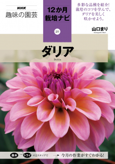 NHK趣味の園芸　12か月栽培ナビ　⑳ダリア