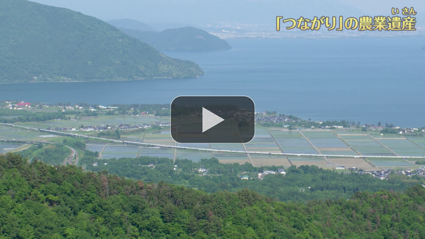 ２．「つながり」の農業遺産～滋賀県琵琶湖地域