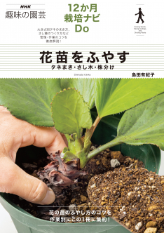 NHK趣味の園芸 12か月栽培ナビDo 花苗をふやす 　タネまき・さし木・株分け