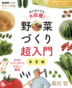 NHK趣味の園芸 やさいの時間 はじめてでも大収穫！野菜づくり超入門