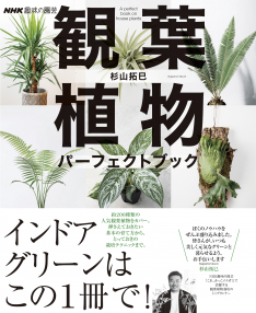 NHK趣味の園芸 観葉植物　パーフェクトブック