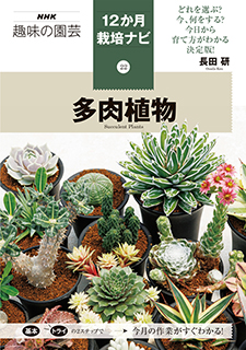 NHK趣味の園芸　12か月栽培ナビ　㉒多肉植物