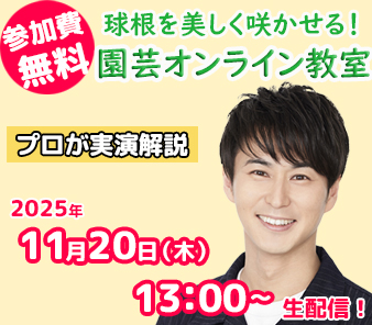 「趣味の園芸」園芸オンライン教室　参加者募集中(無料)
