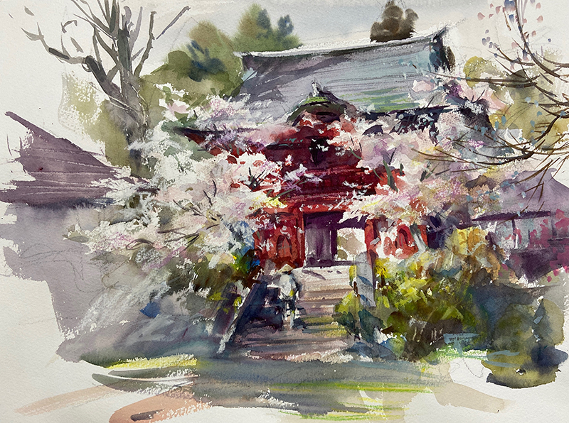 柴崎春通さんと楽しく描く透明水彩 ｜ 教育コンテンツならNHKエデュ