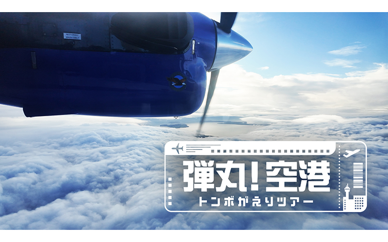 弾丸!空港トンボがえりツアー