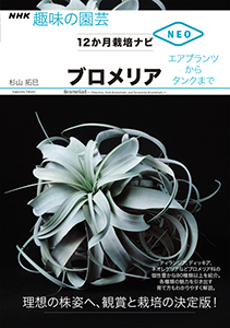 NHK趣味の園芸 12か月栽培ナビNEO ブロメリア ~エアプランツからタンクまで