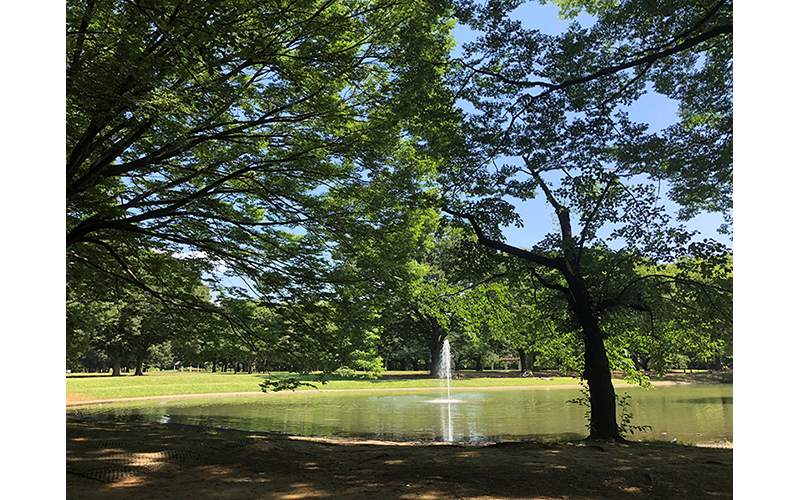 カルチャーラジオ